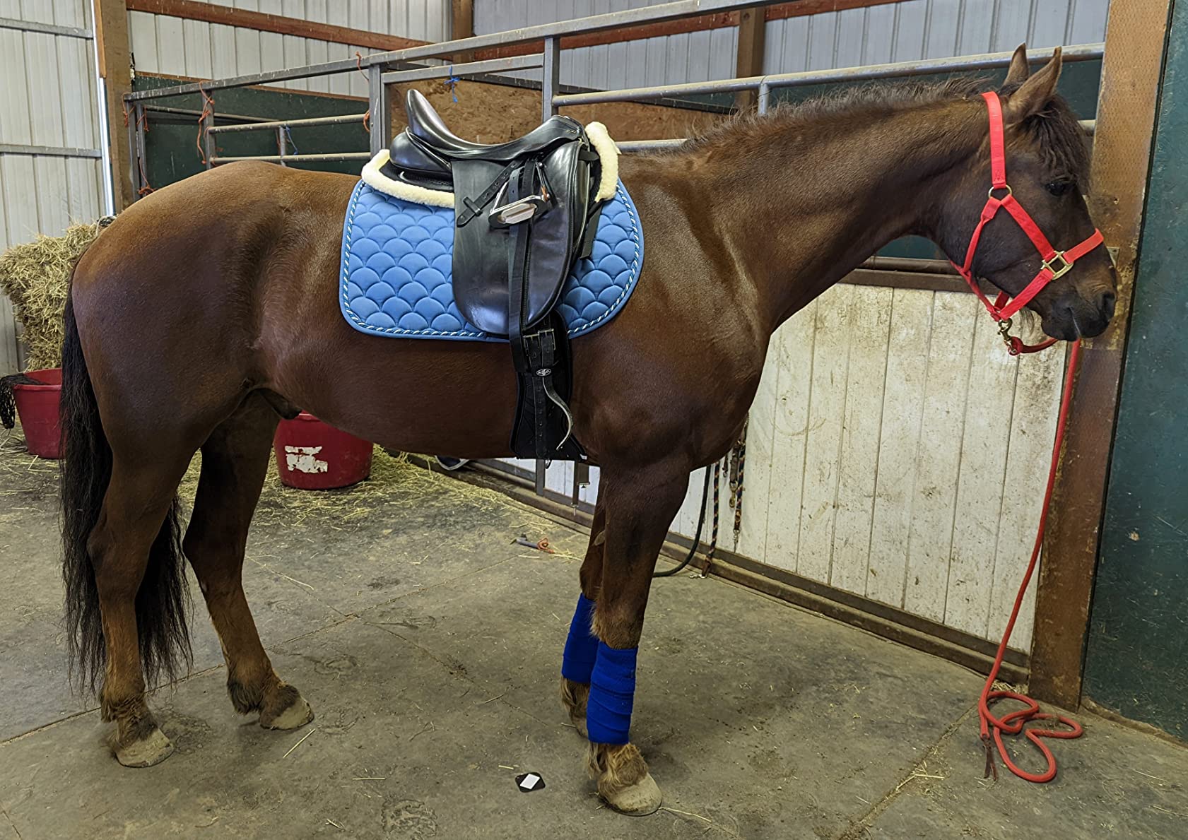 3D Air-Mesh Half Pad, Impact Protection & Therapeutic Gel Padding English Saddle customer photo 2
