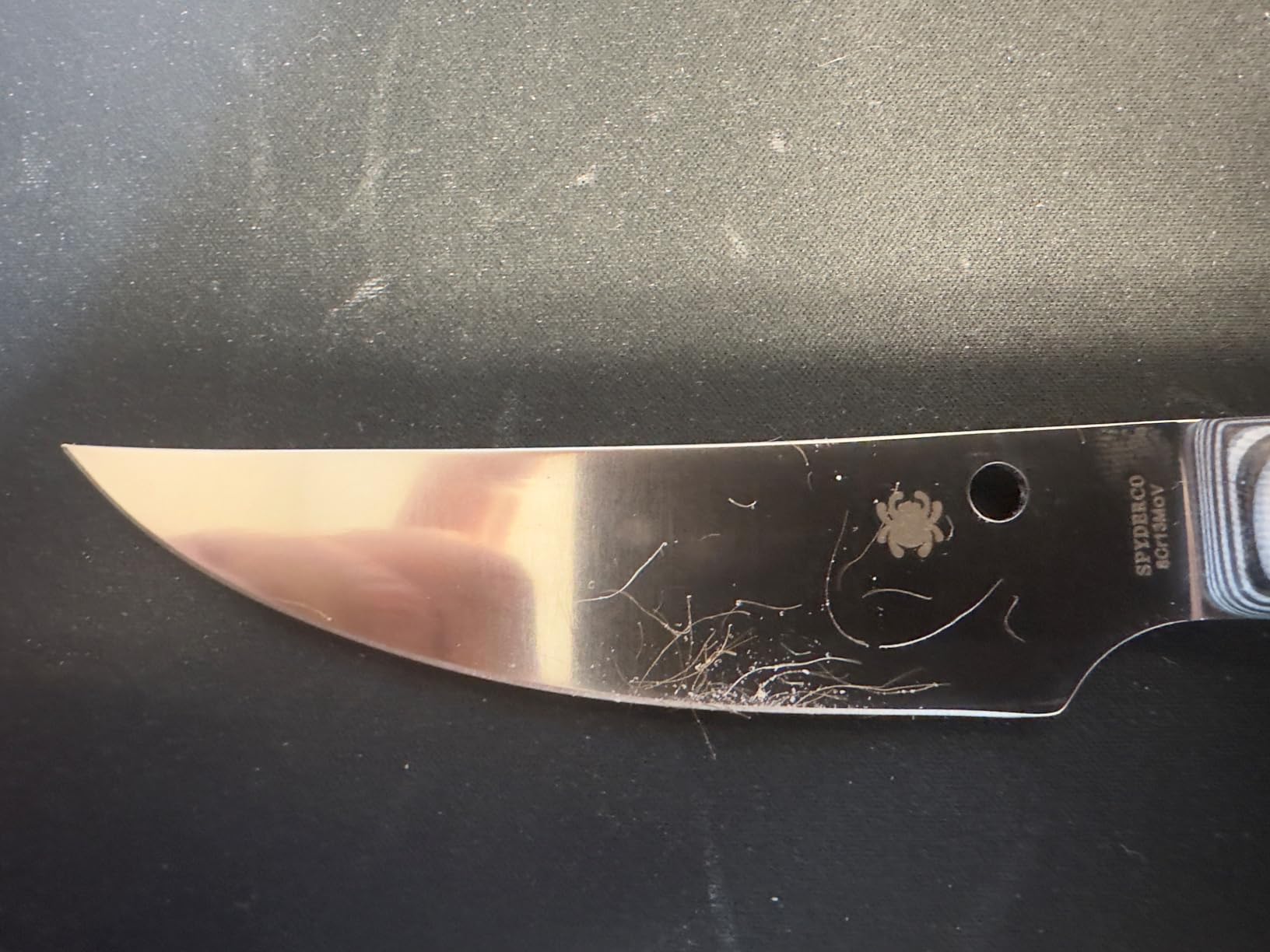 Spyderco Bow River Fixed Blade Outdoor Hunting Knife, PlainEdge | 8.14