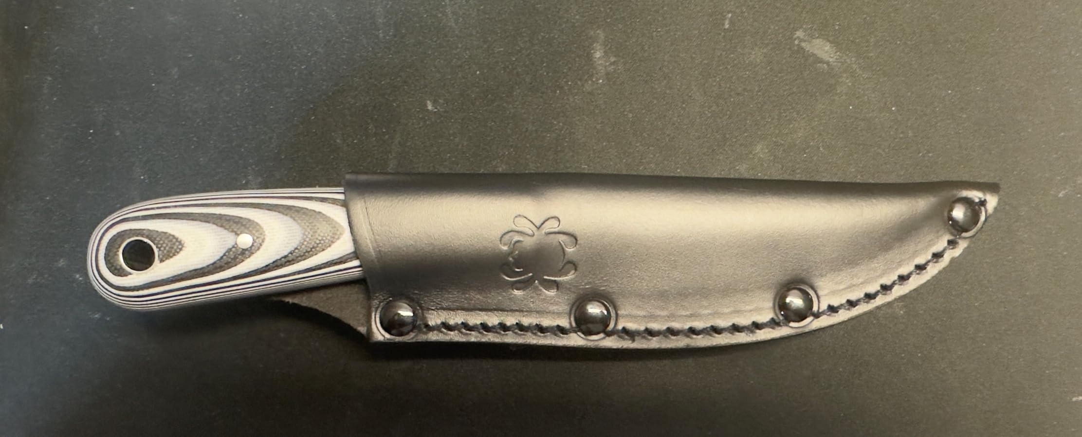 Spyderco Bow River Fixed Blade Outdoor Hunting Knife, PlainEdge | 8.14