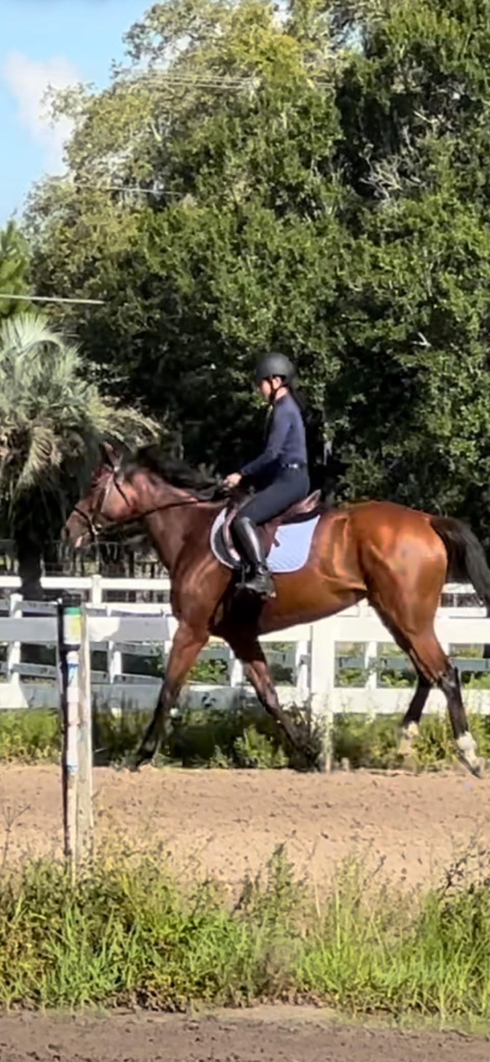 HORZE Grayson Classic Leather Ergonomic Snaffle Dressage Bridle with Detachable Flash customer photo 1