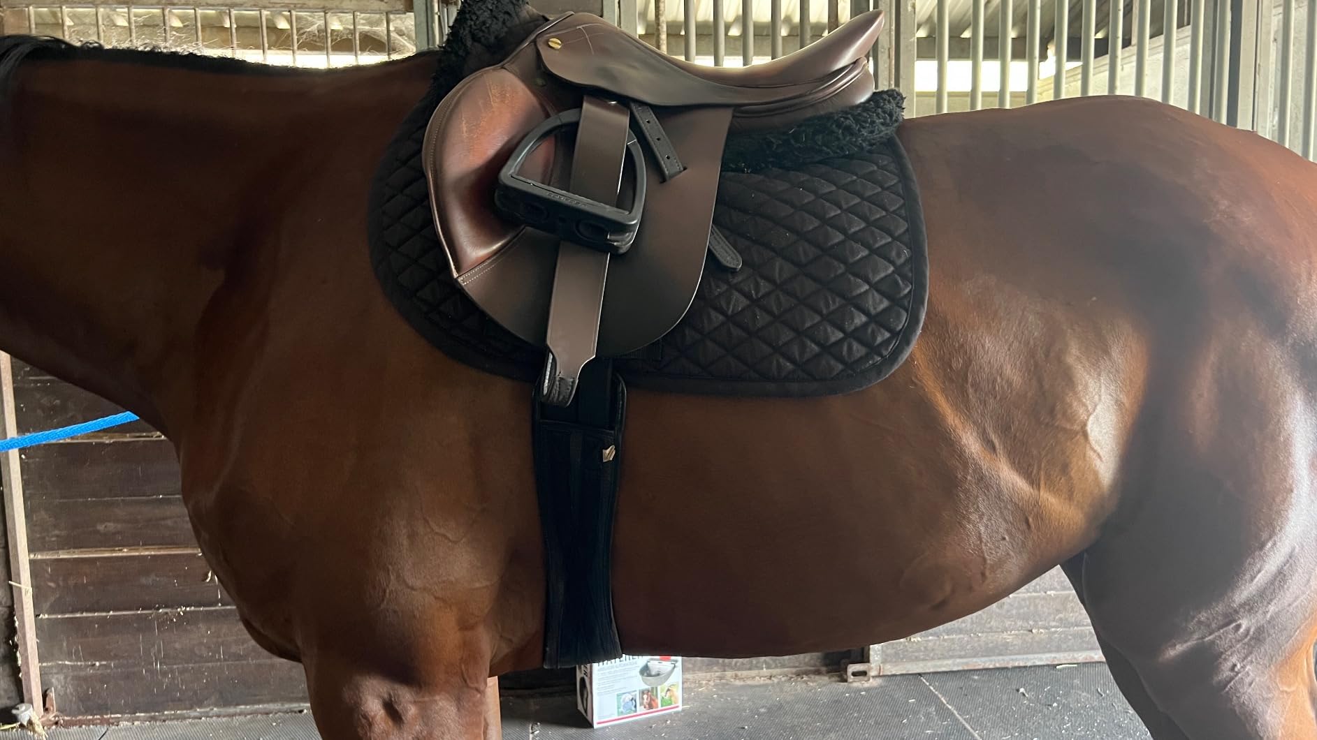 HORZE Grayson Classic Leather Ergonomic Snaffle Dressage Bridle with Detachable Flash customer photo 2