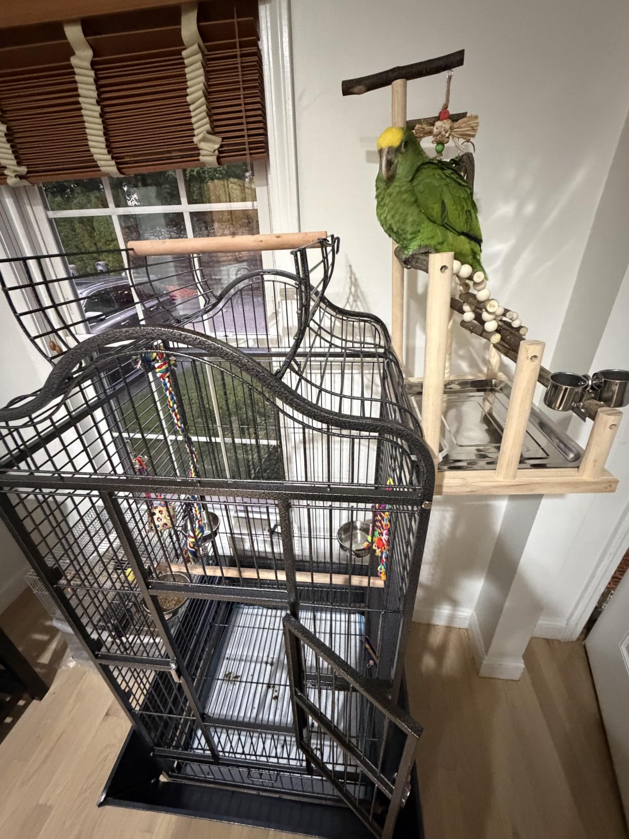 Yaheetech Extra Large Bird Cage 63'' Open Play Top Bird Cage for African Grey Parrots/Amazon Parrot/Caiques/Macaw with 360-Degree Wheels customer photo 2