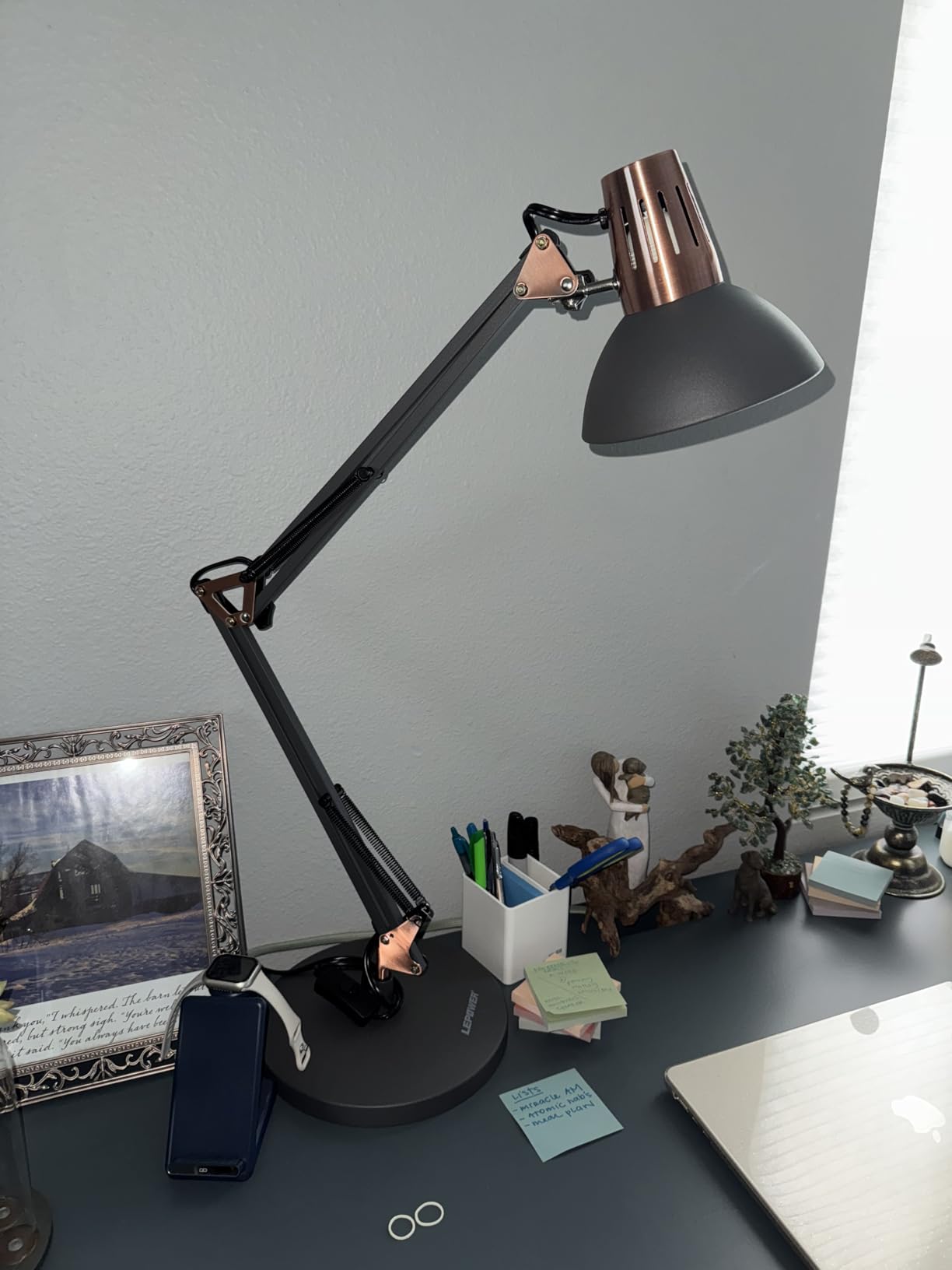 LEPOWER Metal Adjustable Desk Lamp with Clamp, Swing Arm for Home Office customer photo 1