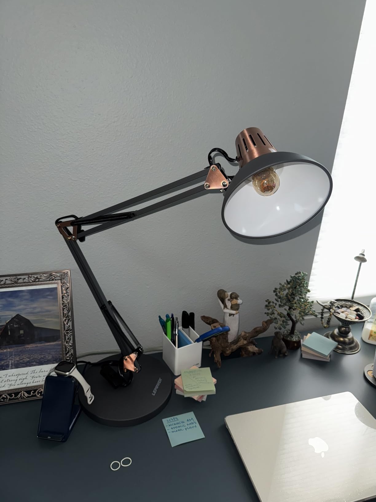 LEPOWER Metal Adjustable Desk Lamp with Clamp, Swing Arm for Home Office customer photo 2