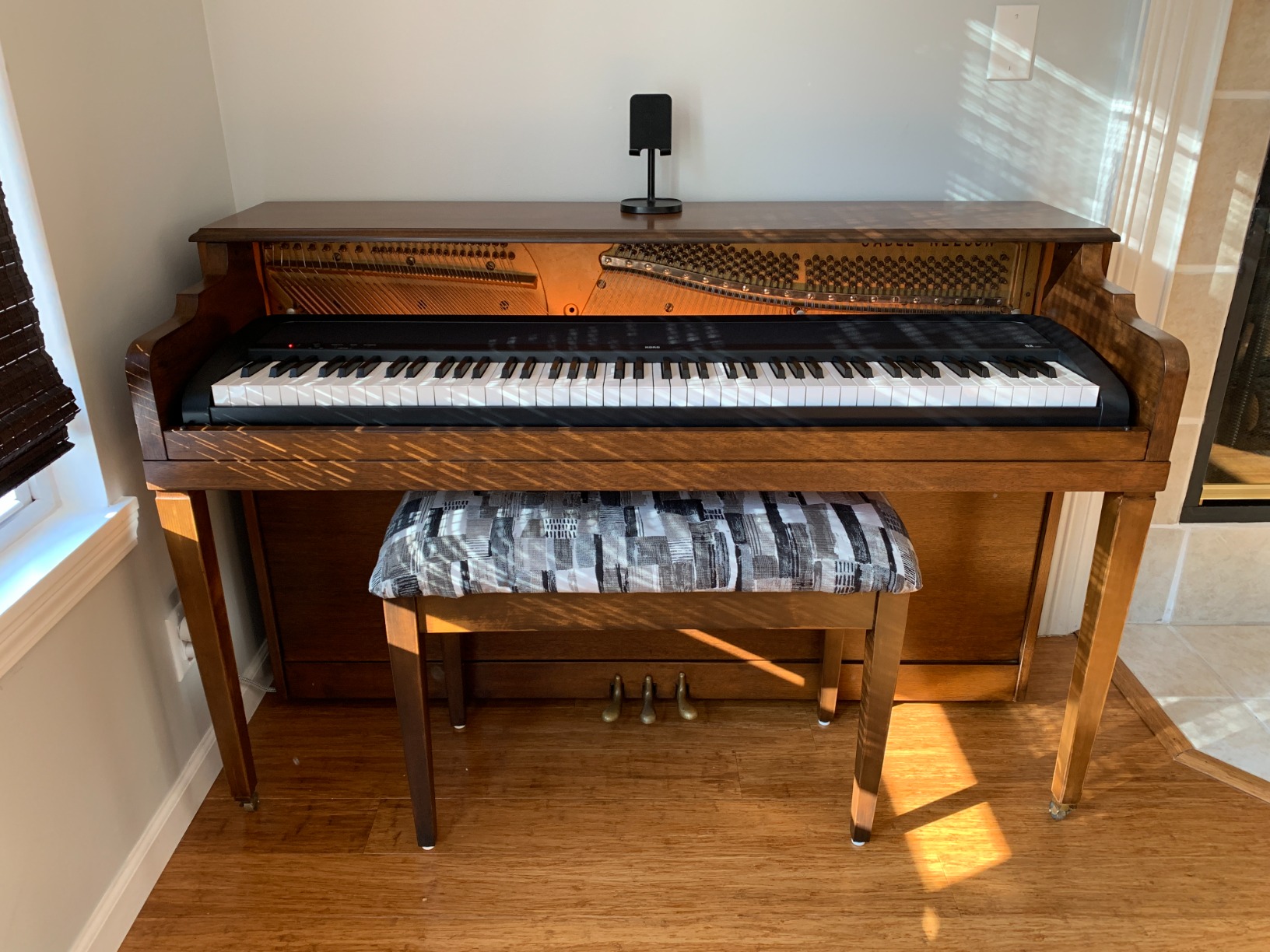 Korg B2 88-Key Digital Piano with Audio and MIDI USB - Black customer photo 1