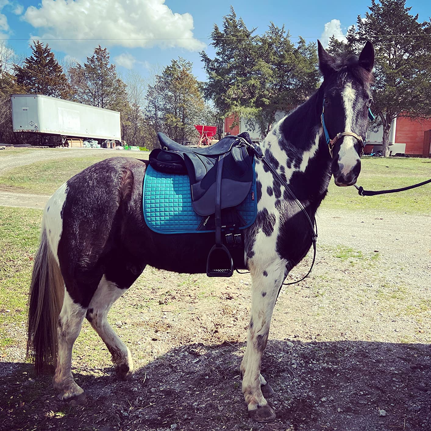 Wintec Pro HART Endurance Saddle customer photo 1