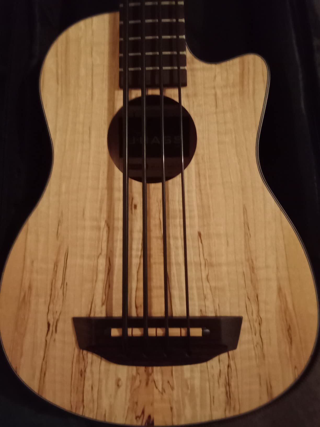 Kala Spalted Maple Acoustic-Electric U-BASS customer photo 1