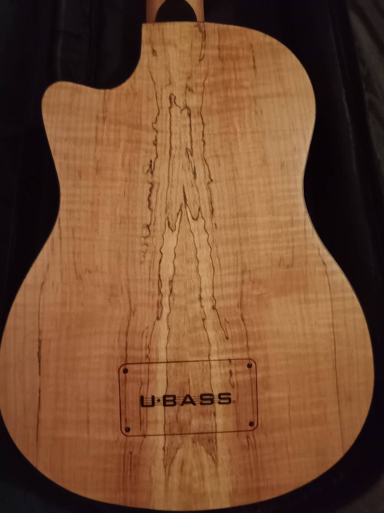 Kala Spalted Maple Acoustic-Electric U-BASS customer photo 2