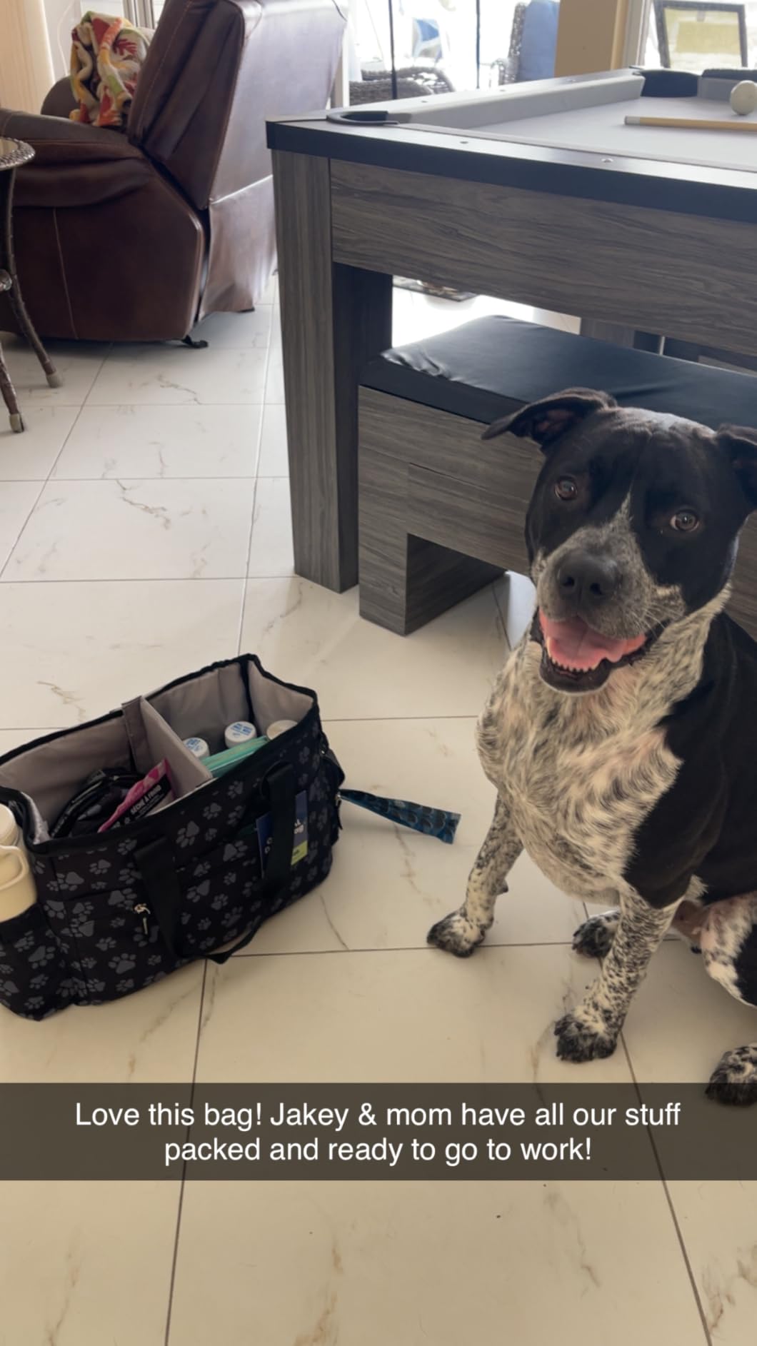 The Original Doggy Bag - Complete Dog Travel Bag for Supplies with 2 BPA-Free Travel Dog Bowls & 2 Pet Food Containers - Traveling Kit for Road Trips, Camping, Weekend Away or Doggy Gift: Grey customer photo 1