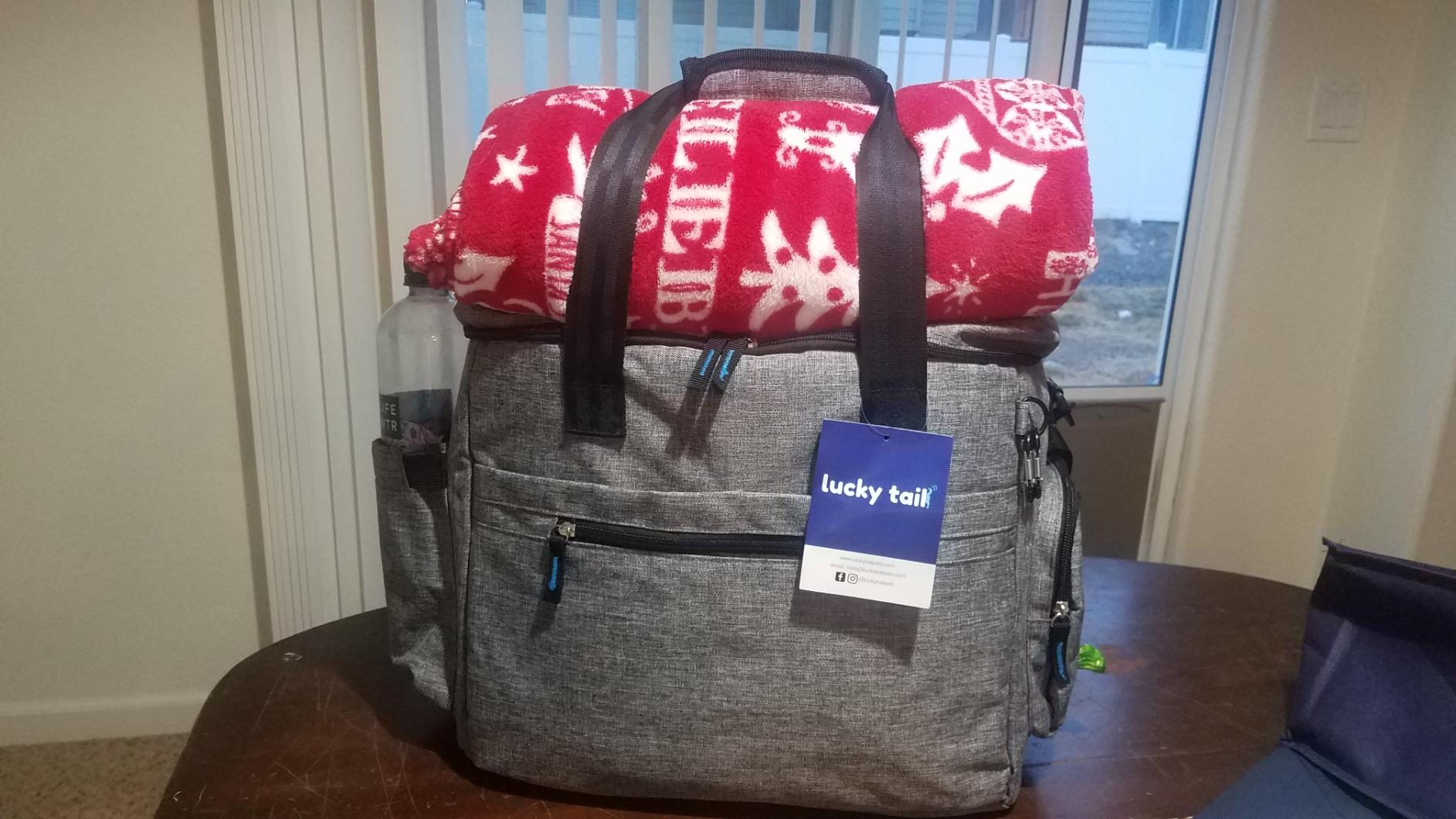 The Original Doggy Bag - Complete Dog Travel Bag for Supplies with 2 BPA-Free Travel Dog Bowls & 2 Pet Food Containers - Traveling Kit for Road Trips, Camping, Weekend Away or Doggy Gift: Grey customer photo 2