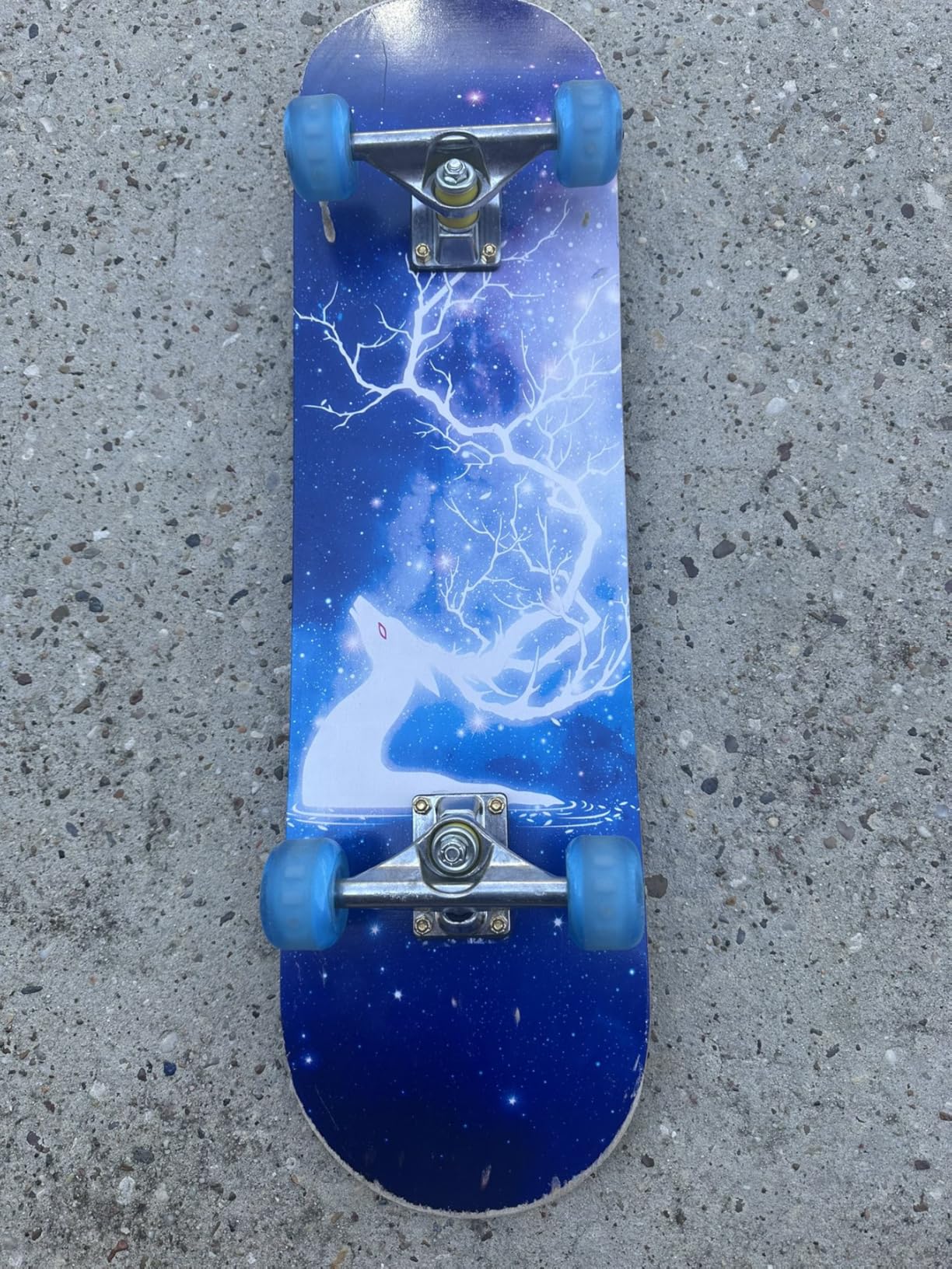 PHOEROS Complete Skateboards - Standard Skateboards for Beginners Kids Boys Girls Teenager - 31''x 8'' Canadian Maple Cruiser Pro Skate Board customer photo 2