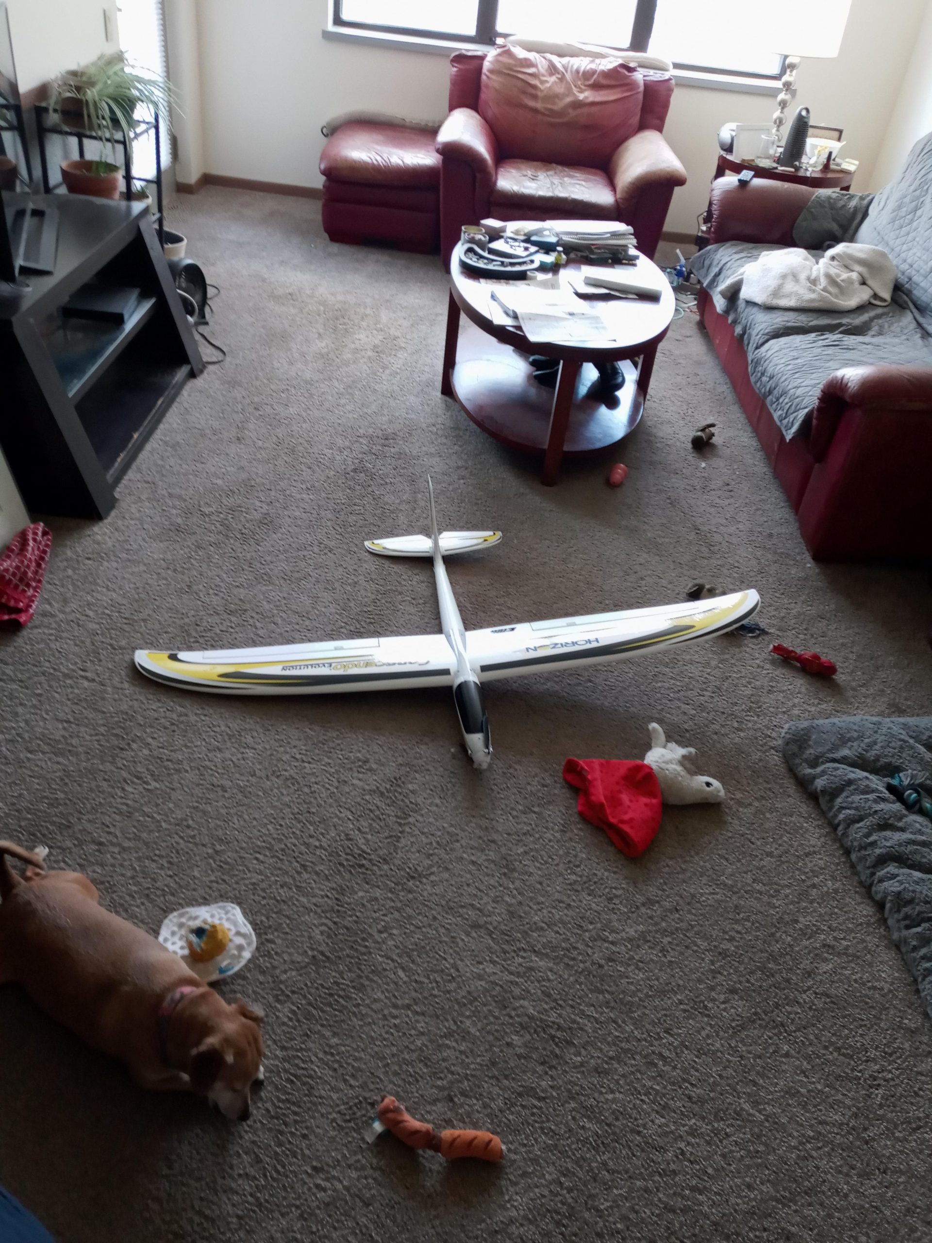 E-flite RC Airplane Conscendo Evolution 1.5m BNF Basic with Safe Select customer photo 2
