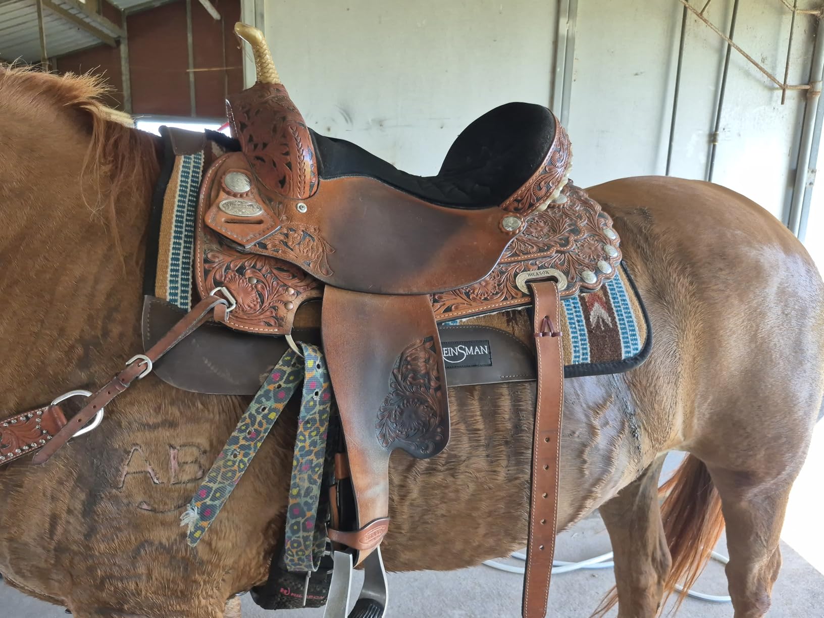 Reinsman APEX Ranahan Tacky Too Soft Breathable Non-Slip Saddle Pad customer photo 2