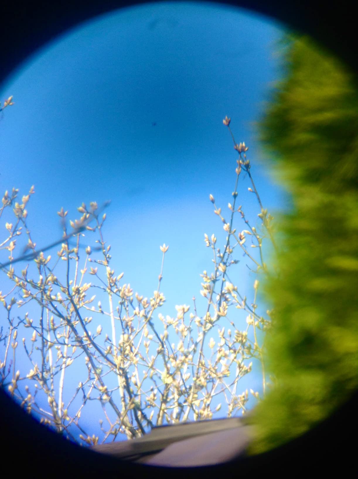 SARBLUE Mak60 Maksutov-Cassegrain Telescope for Beginners customer photo 1