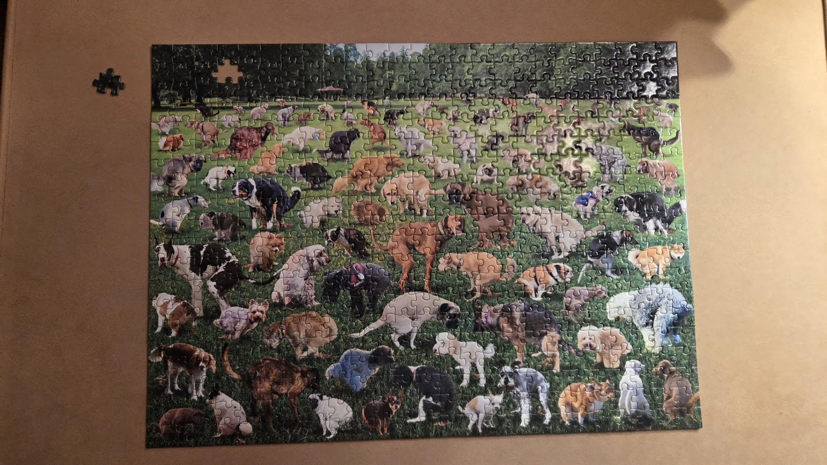 Funwares Original 101 Puppies - Funny 1000 Piece Jigsaw Puzzle for Adults and Kids - Hilarious Gag Gift for Dog Lovers and White Elephant customer photo 1