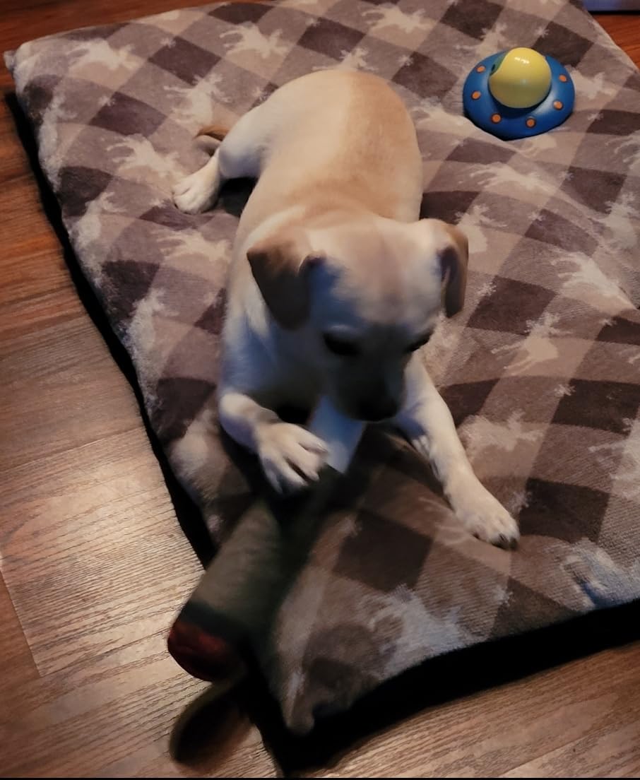 Nestpark Doggy Doobie - Funny Dog Toys - Plush Squeaky Toys for Medium, Small and Large - Cool Stuffed for Dog Birthday customer photo 1