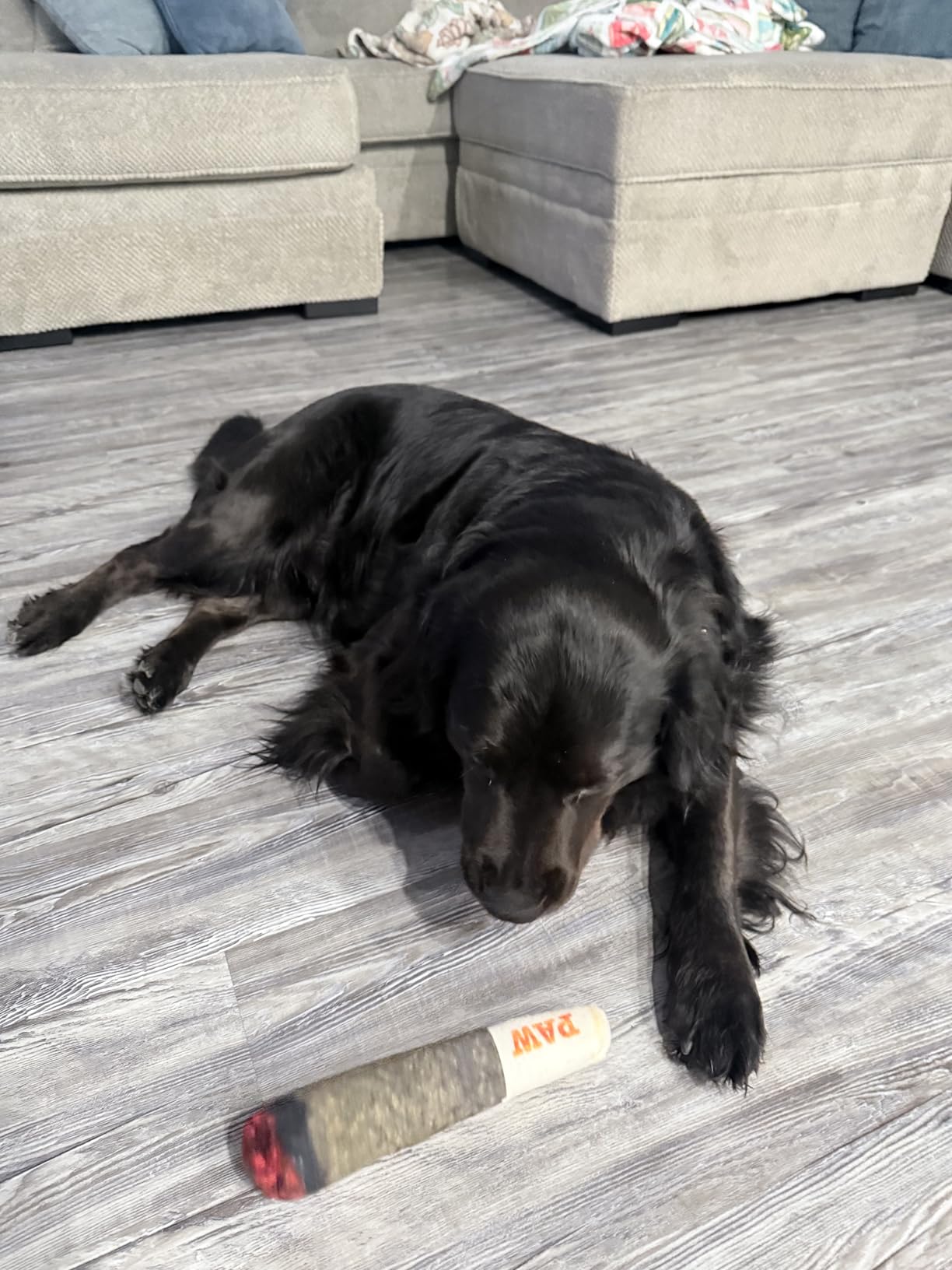 Nestpark Doggy Doobie - Funny Dog Toys - Plush Squeaky Toys for Medium, Small and Large - Cool Stuffed for Dog Birthday customer photo 2