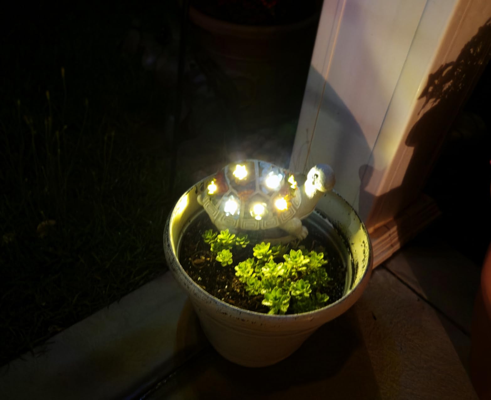 Nacome Solar Garden Outdoor Statues Turtle with Succulent and 7 LED Lights - Lawn Decor Statue for Patio, Balcony, Yard Ornament - Gifts for Mom Grandma Women customer photo 1