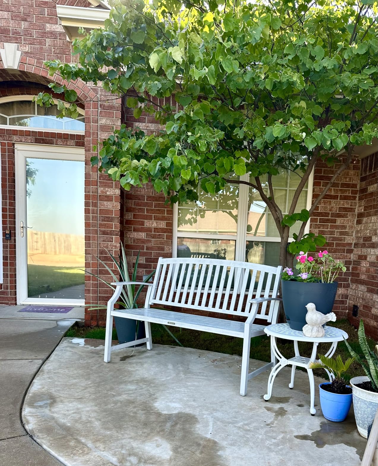 Grand Patio 52