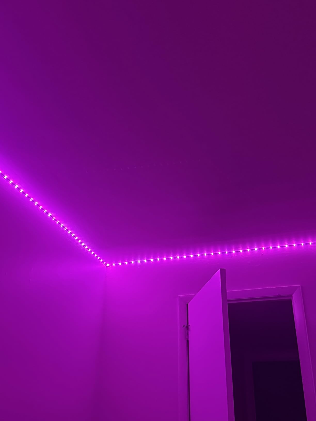 Govee RGBIC Alexa LED Strip Light 16.4ft, Smart WiFi LED Lights Work with Alexa and Google Assistant, Segmented DIY, Music Sync customer photo 2