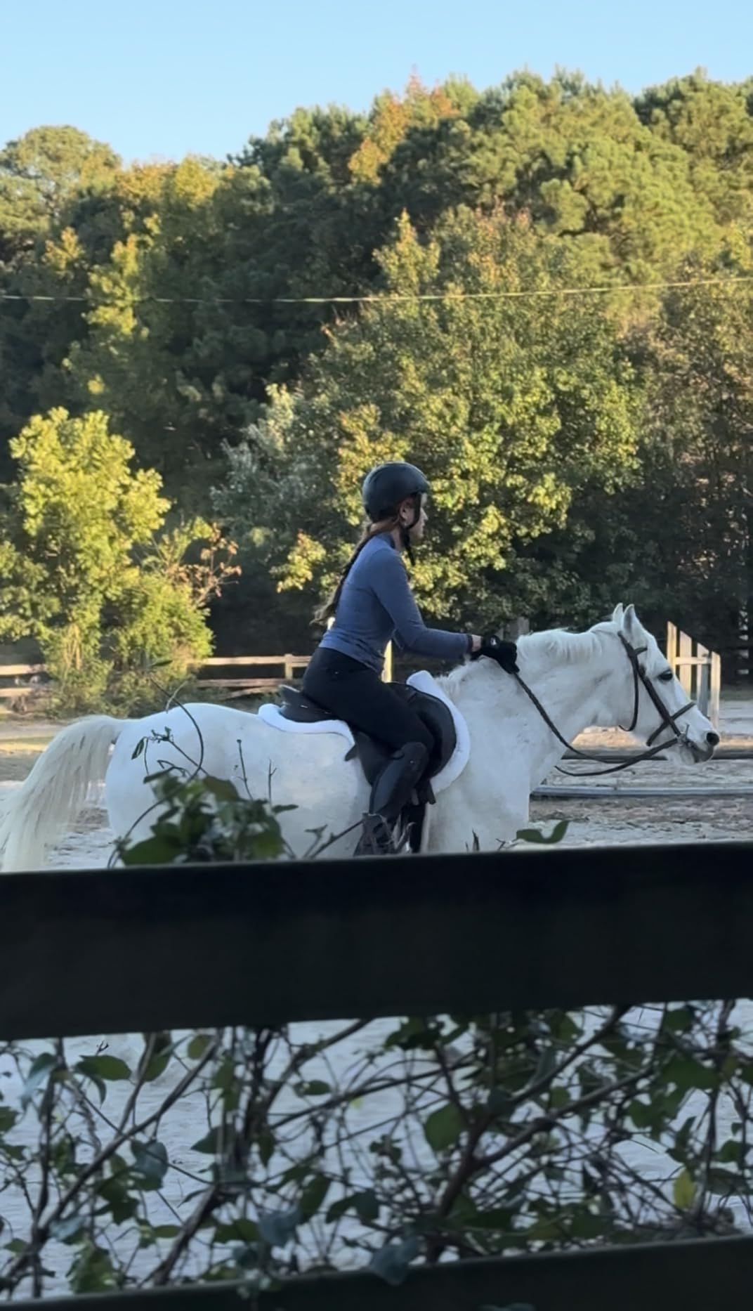 Equinavia Eidsvoll White English Saddle Pad, Ultra Fleece Trim Design | Jumping English Half Pad Fleece, Shaped Comfortable Cushioning, Durable Dressage, Shock Absorption for Daily Training, Show customer photo 1
