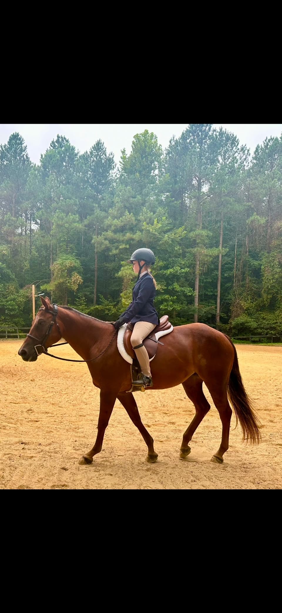 Equinavia Eidsvoll White English Saddle Pad, Ultra Fleece Trim Design | Jumping English Half Pad Fleece, Shaped Comfortable Cushioning, Durable Dressage, Shock Absorption for Daily Training, Show customer photo 2