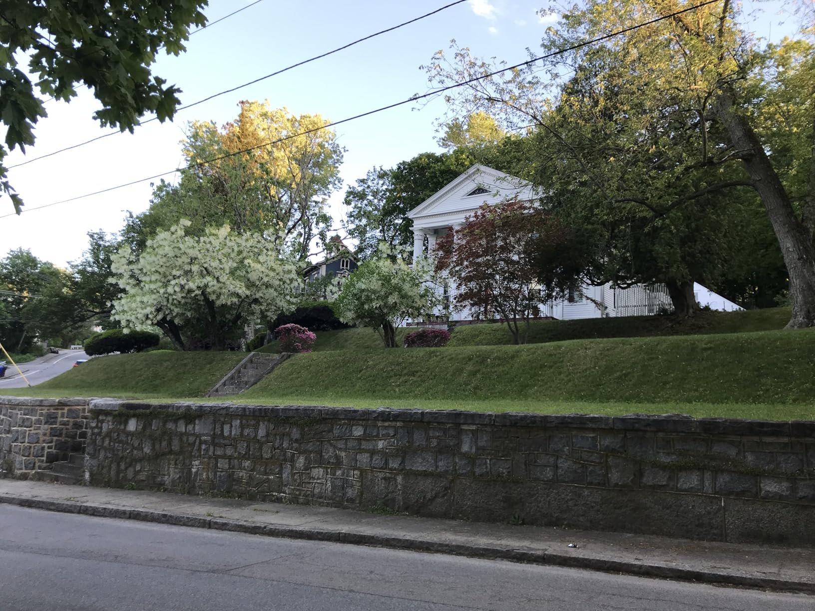 Remote Controlled Lawn Mower | 55° Slope Capability | Hybrid Self-Charging Dual Battery | Brushless Motors | Zero Turn customer photo 2