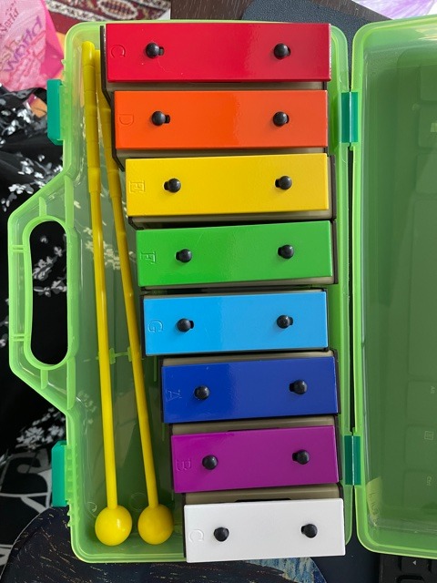 MINIARTIS Glockenspiel Xylophone | 25 Note Colorful Metal Keys Xylophone for Kids | Percussion Musical Instrument | Educational Music Toy Includes Music Songbook, Mallets and Blue Carry Case customer photo 2