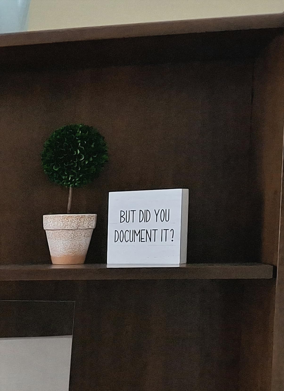 But Did You Document It Office Decor Wooden Box Sign Decorative Funny Office Wood Box Sign Home Rustic Farmhouse Square Desk Decor Sign for Shelf Office Desk Accessories 5 x 5 Inches customer photo 1