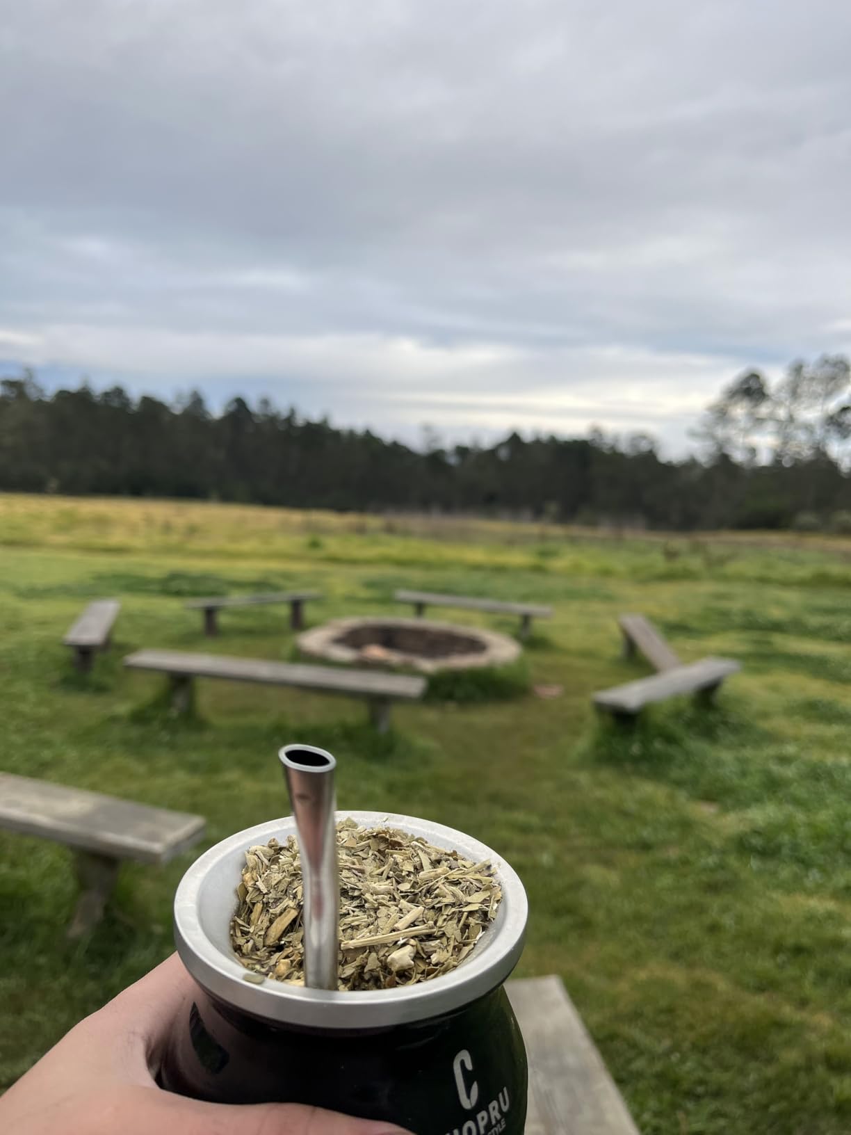 Cuopru Yerba Mate Cup - Mate Gourd Set Includes Double Walled Stainless Steel Tea Cup, Tea Shaper set, Bombilla Straws, Cleaning Brush (Silver) customer photo 2