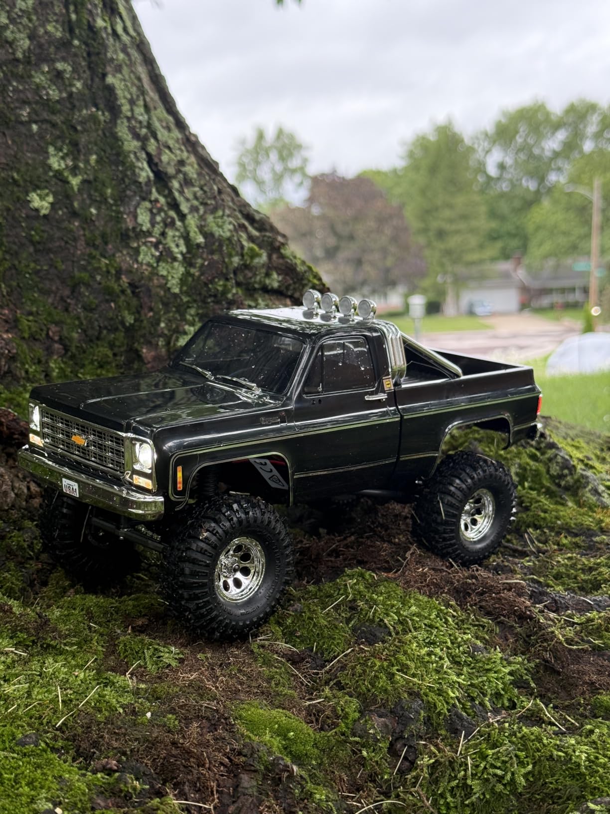 Traxxas TRX-4M Chevy K10 High Trail 1/18 4X4 Crawler RTR customer photo 1