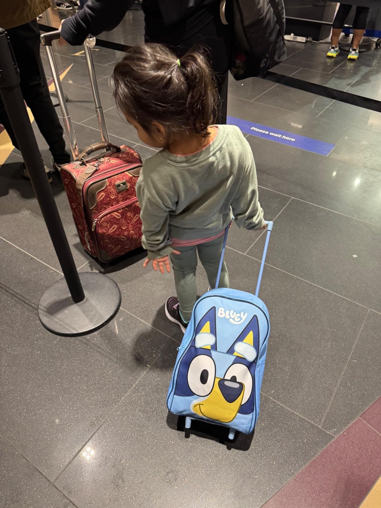 Bluey Kids Rolling Suitcase, 16 x 13 x 4 inches, Luggage for Girls and Boys, Travel Bag with Extendable Handle and Wheels customer photo 1
