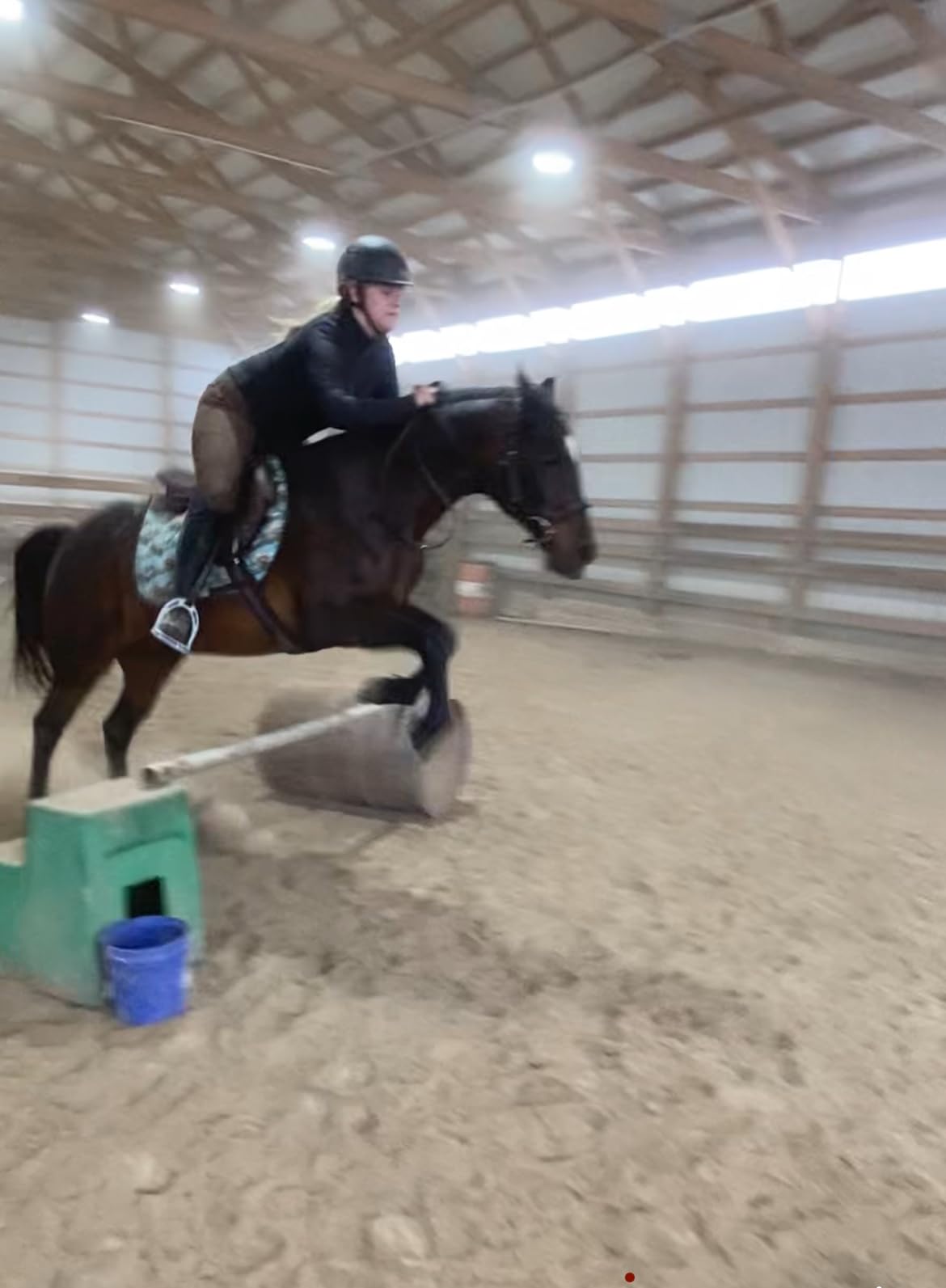Henri de Rivel Novice Club Close Contact Saddle - Beginner Jumping Saddle with Flatter Seat, Padded Flaps & Knee Rolls customer photo 2