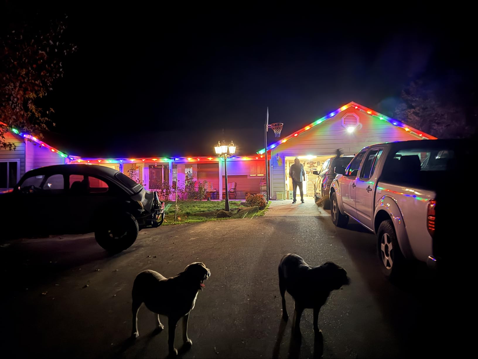 Vintage C9 LED Christmas Lights Outdoor, 150 Feet C9 String Lights with 75 Shatterproof C9 Bulbs, Waterproof Connectable Commercial Christmas Tree Lights for Outside Roofline Patio Decor, Multicolor customer photo 1