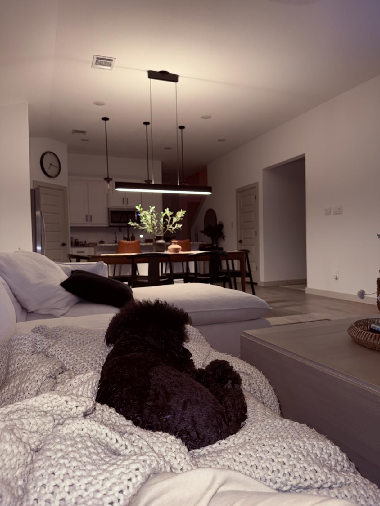 PHILIPS Hue Ensis Smart LED Pendant Light Black, Two LED Light Sources, White & Color Light, Bluetooth Compatible, Voice Control with Alexa, Apple Home & Google Assistant customer photo 2