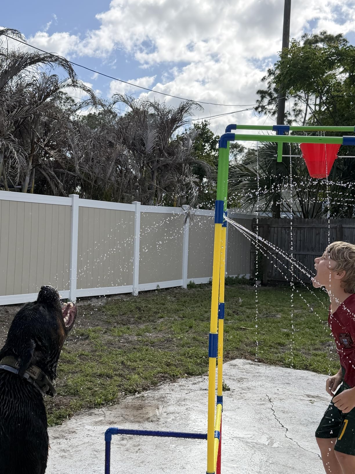 Kids Water Park Sprinkler Tunnel with Dunk Bucket | Outdoor Water Park for Backyard Summer Fun customer photo 2