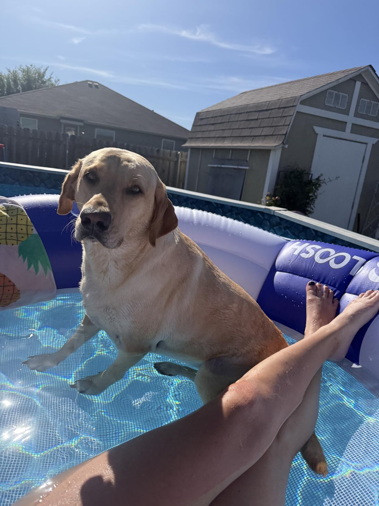 SLOOSH Inflatable Pool Lounger Float with Mesh, 80