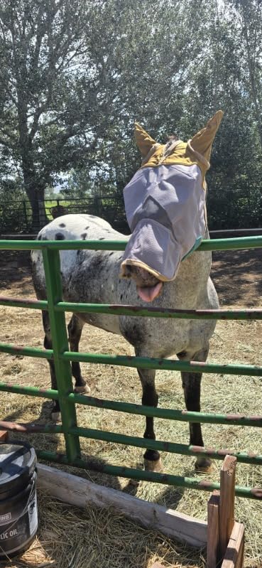 TSZ Horse Fly Mask with Ears and Nose Cover UV Block 70% Breathable Mesh customer photo 1