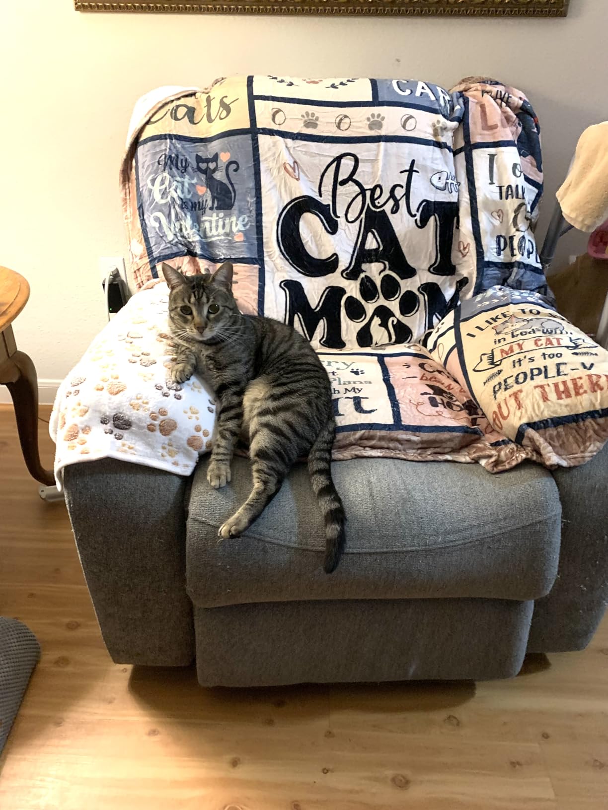 SteadStyle Cat Mom Gifts - Best Ever Blanket for Cat Lovers, Funny Cats Lady Presents for Women, Cozy Cats-Themed Gift for Birthday, Christmas, Mother's Day 60'' x 50'' customer photo 1