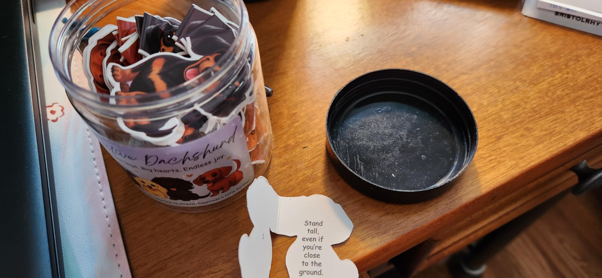 Miarita Positive Cats Jar - 60 Affirmation Cards for Anxiety & Self Care, Cat Mom Gifts For Women, Cat Lover Gifts For Cat Mom, Cat Themed Gift for Mom, Teens & Men, Kids, Coworkers customer photo 2