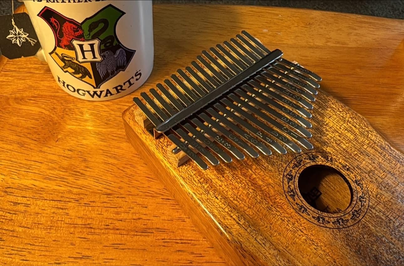 Kalimba 17 Keys Thumb Piano with Carrying Case, Tune Hammer, Songbook | Mbira Finger Piano - Musical Instruments Birthday Gift for Kids Adult Beginners customer photo 1
