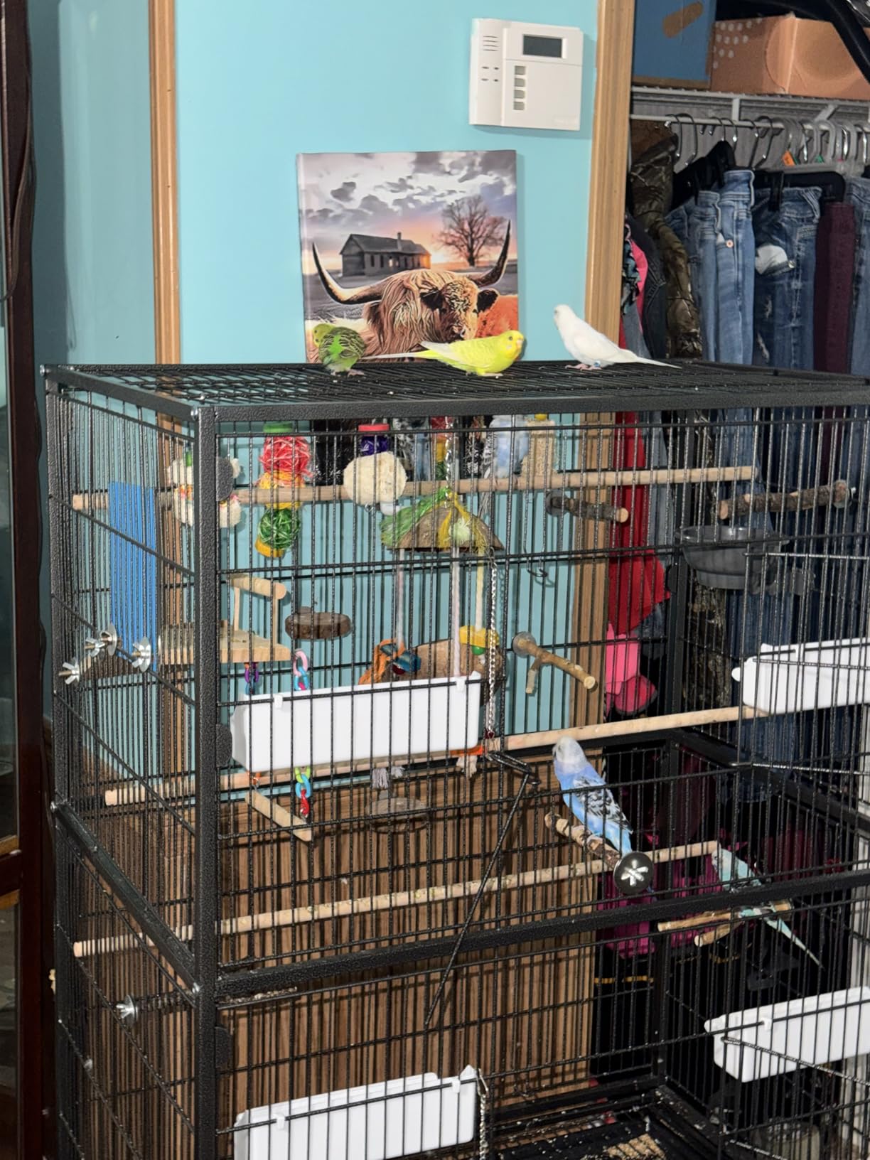 VEVOR Bird Cage, 32.7 x 31.1 x 82.7 inch, Open Flat Top, Wrought Iron Bird Flight Cage with Perches, Slide-Out Tray, Plastic Feeders, for Cockatiel, Monk Parakeet, Amazon Parrot, African Grey Parrot customer photo 2