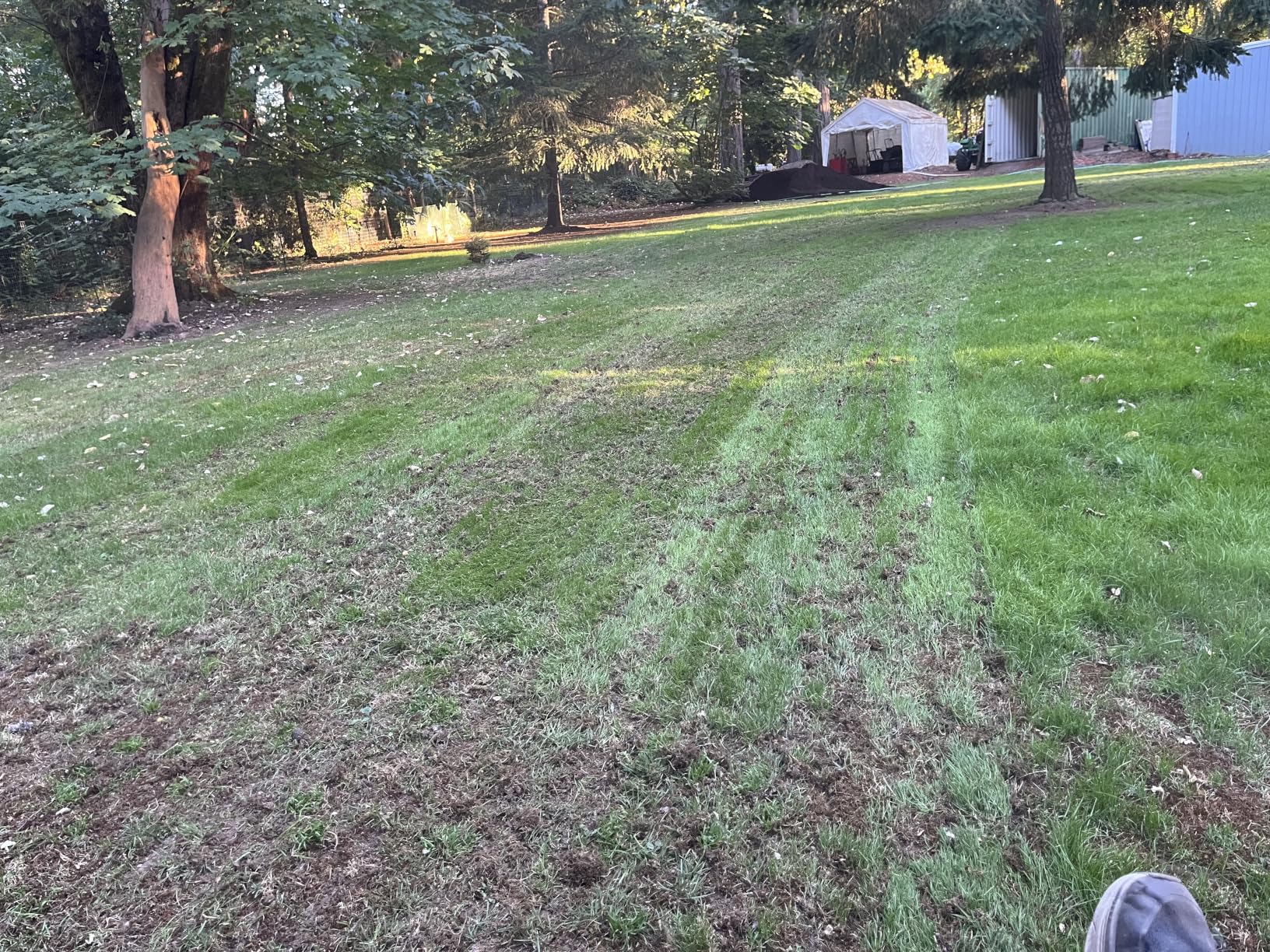 AugFir 48-Inch Tow Behind Dethatcher, Pull Behind Lawn Dethatcher with 20 Spring Steel Tines customer photo 1