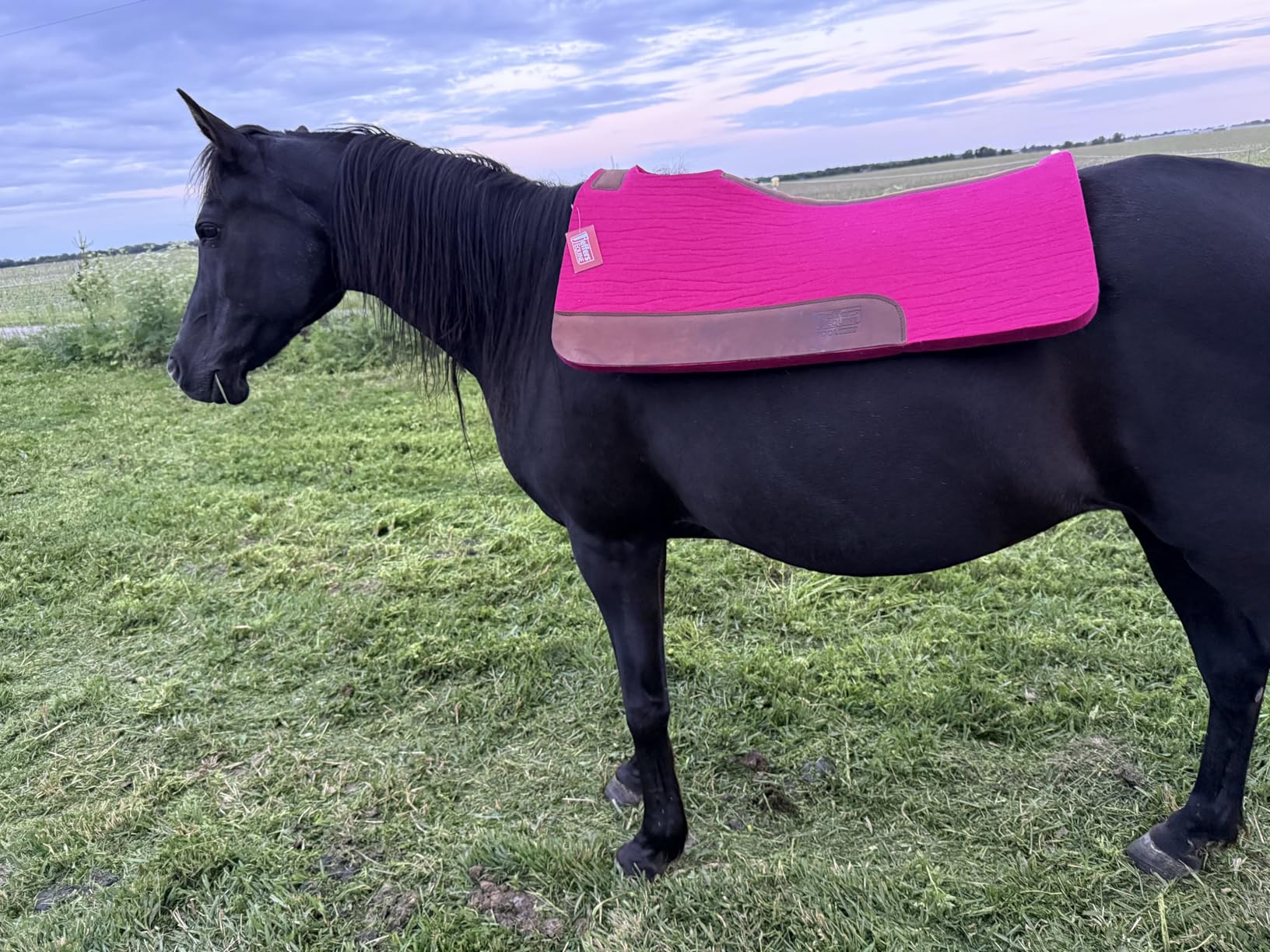 Jeffers WoolLuxe 100% Wool Felt Saddle Pad for Horses customer photo 1