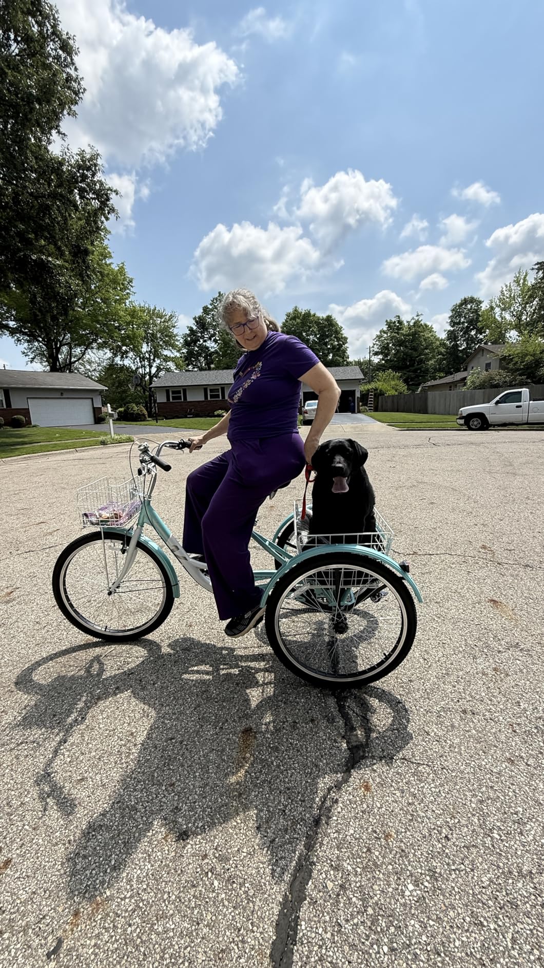 VIRIBUS Adult Tricycle, 7 Speed Tricycle for Adults customer photo 1