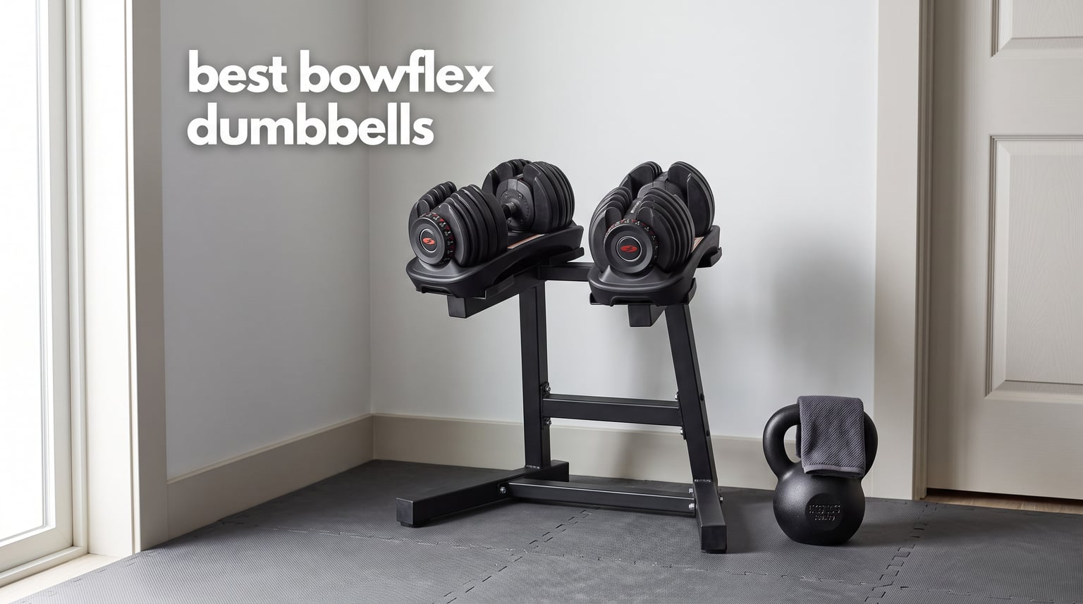 best bowflex dumbbells