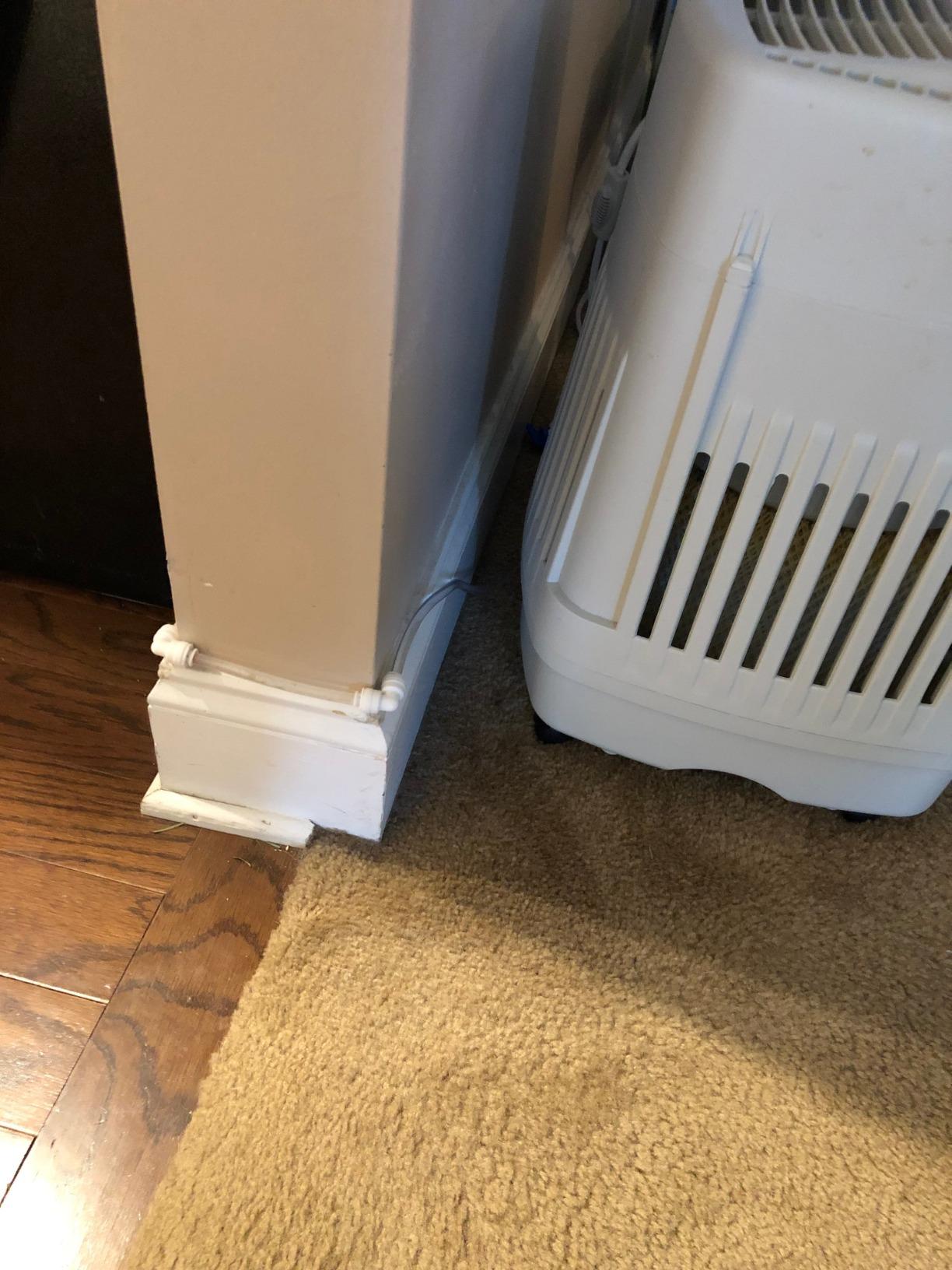 John Guest Speedfit 3/8 x 3/8 x 1/4 Inch Angle Stop Adapter Valve, Push to Connect Plastic Plumbing Fitting, ASVPP1LF customer photo 2