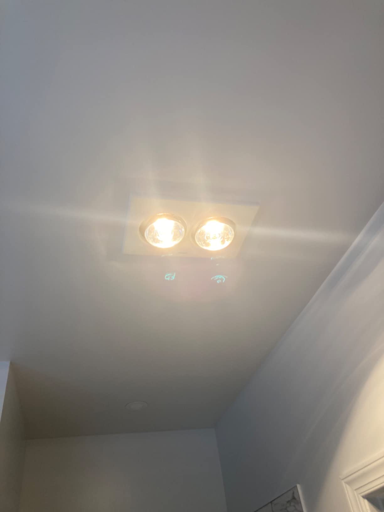 Phillips BR40 Heat Lamp Lightbulb, 250W, Infrared customer photo 2