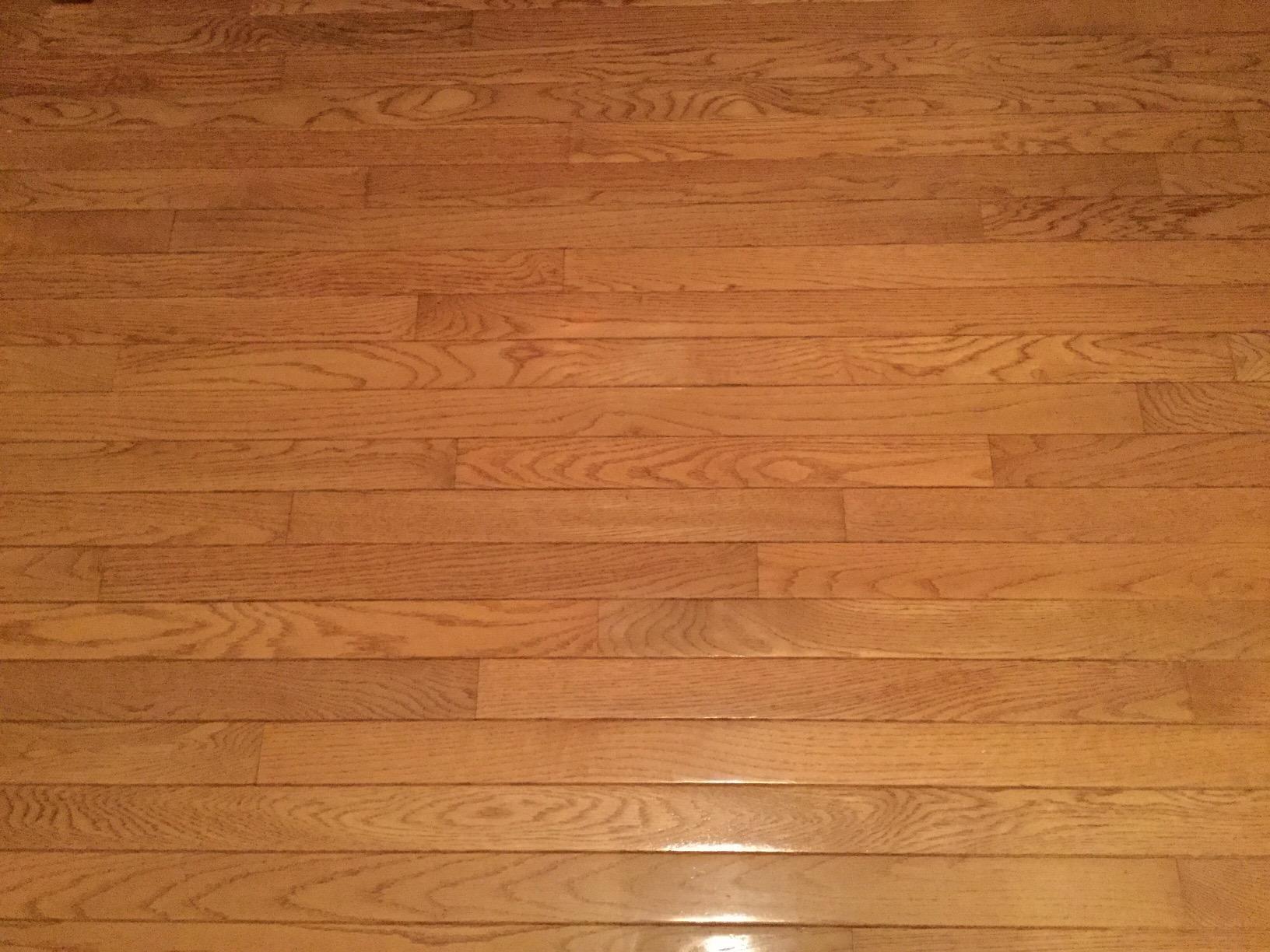 Shaw Floors R2X Hard Surfaces Flooring Cleaner Ready to Use No Need to Rinse Refill 1 Gallon customer photo 2