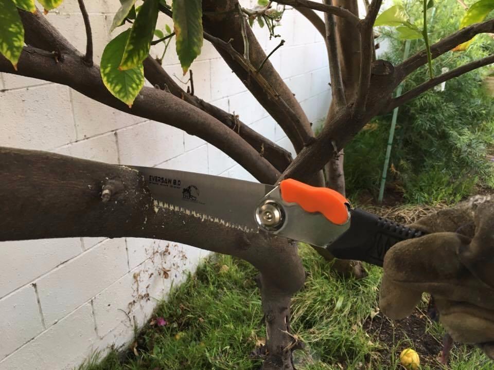 8-inch Folding Hand Saw Compact Camp Saw for Trees Pruning and Gardening customer photo 2